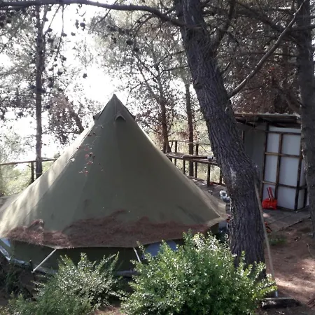 Zelt 4 Camp West *